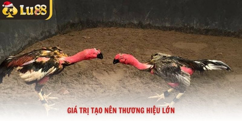 Giá trị tạo nên thương hiệu lớn